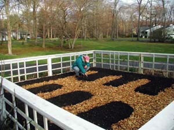Plant transplants in the compost for an instant garden.
